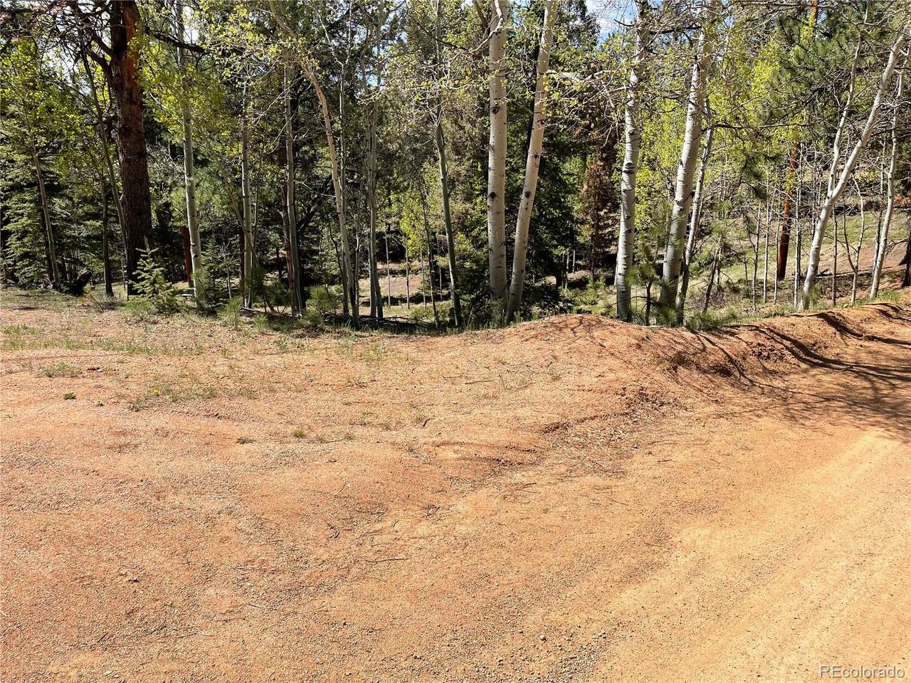 146 Gibson Road - Photo 1