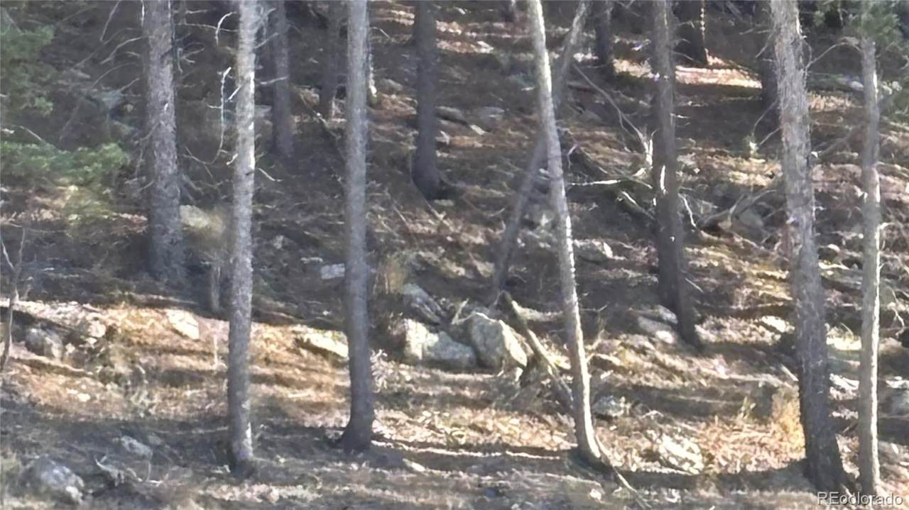 1 Miners Road - Photo 1