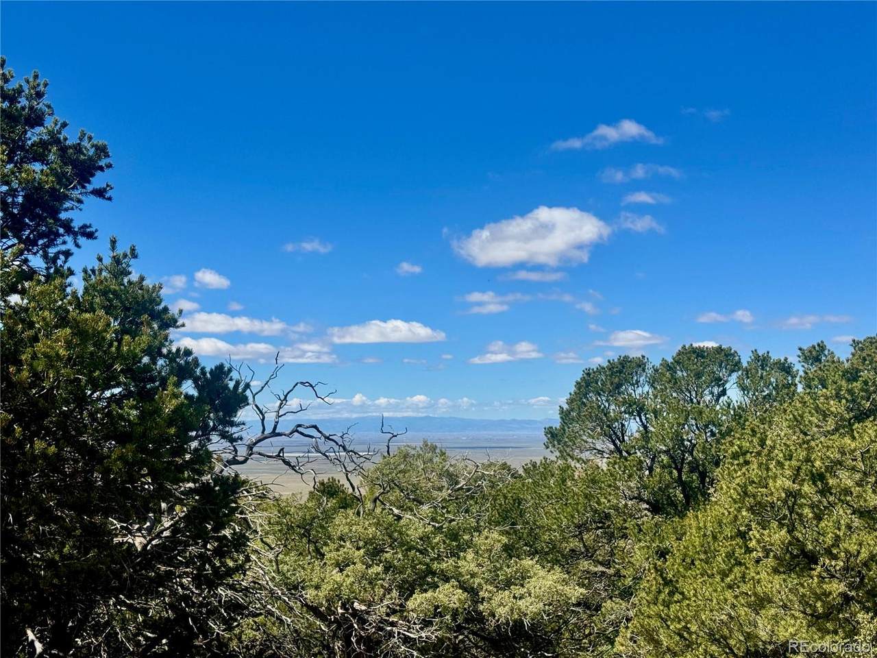 217 Lake Of The Falls Parkway - Photo 1