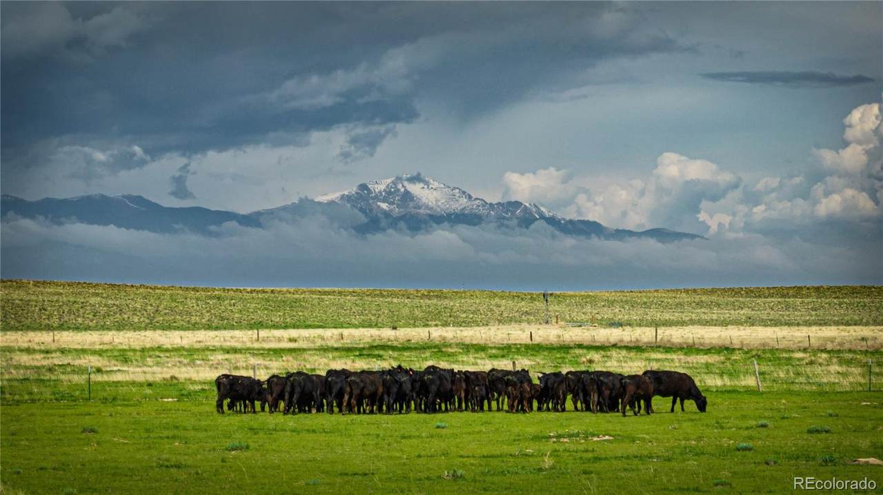  Squirrel Creek Road - Photo 1