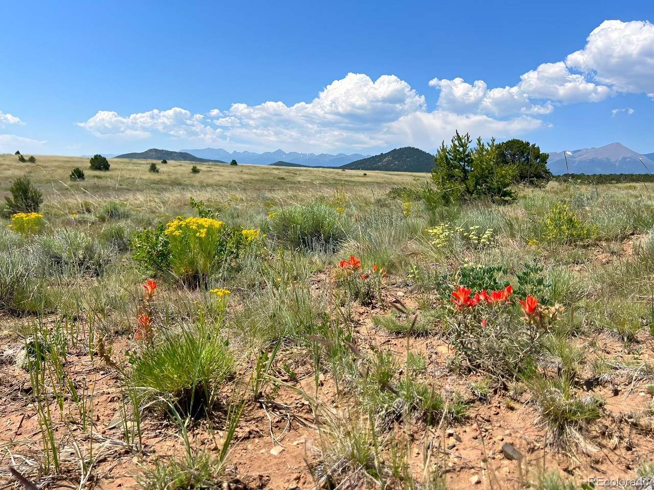 000 Corral North - Photo 1