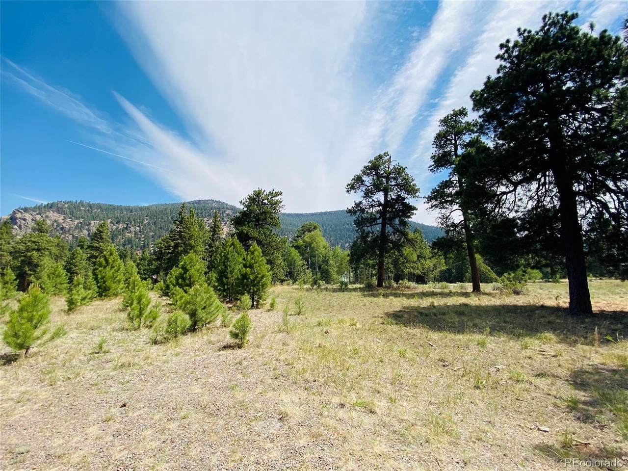 133 Canyon View Drive - Photo 1