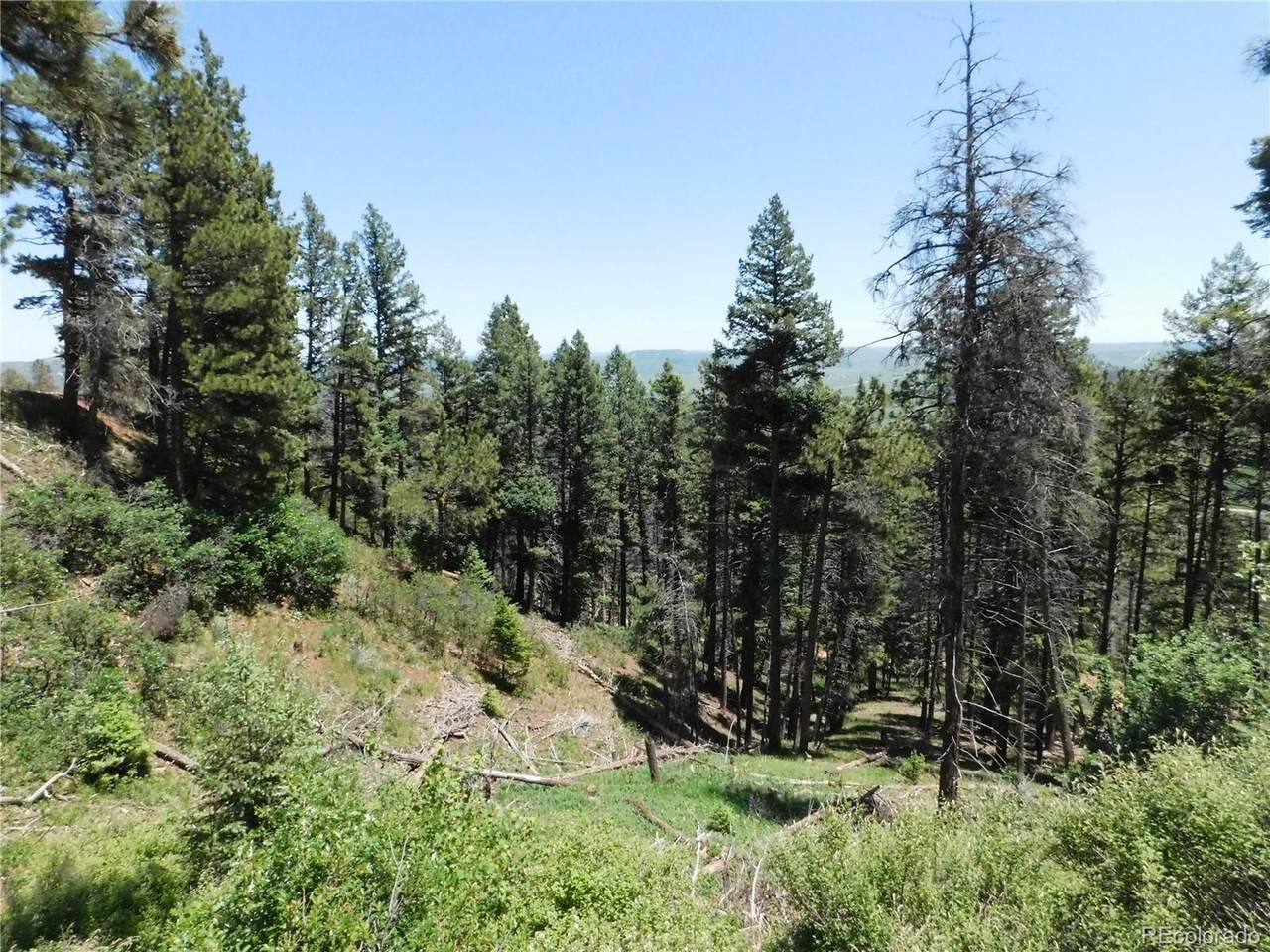 13520 Woodmoor West Drive - Photo 1