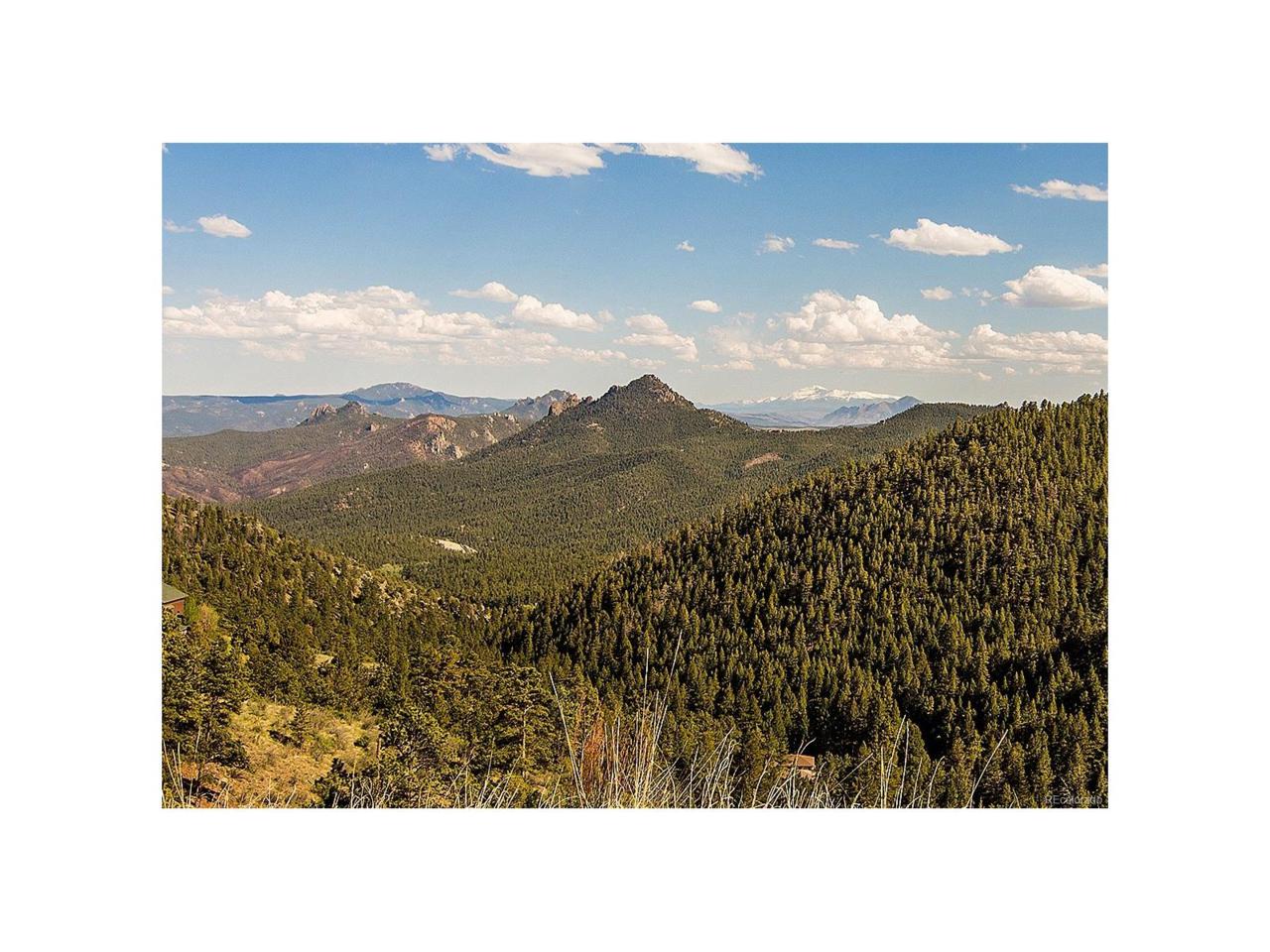 13809 Elsie Road - Photo 1