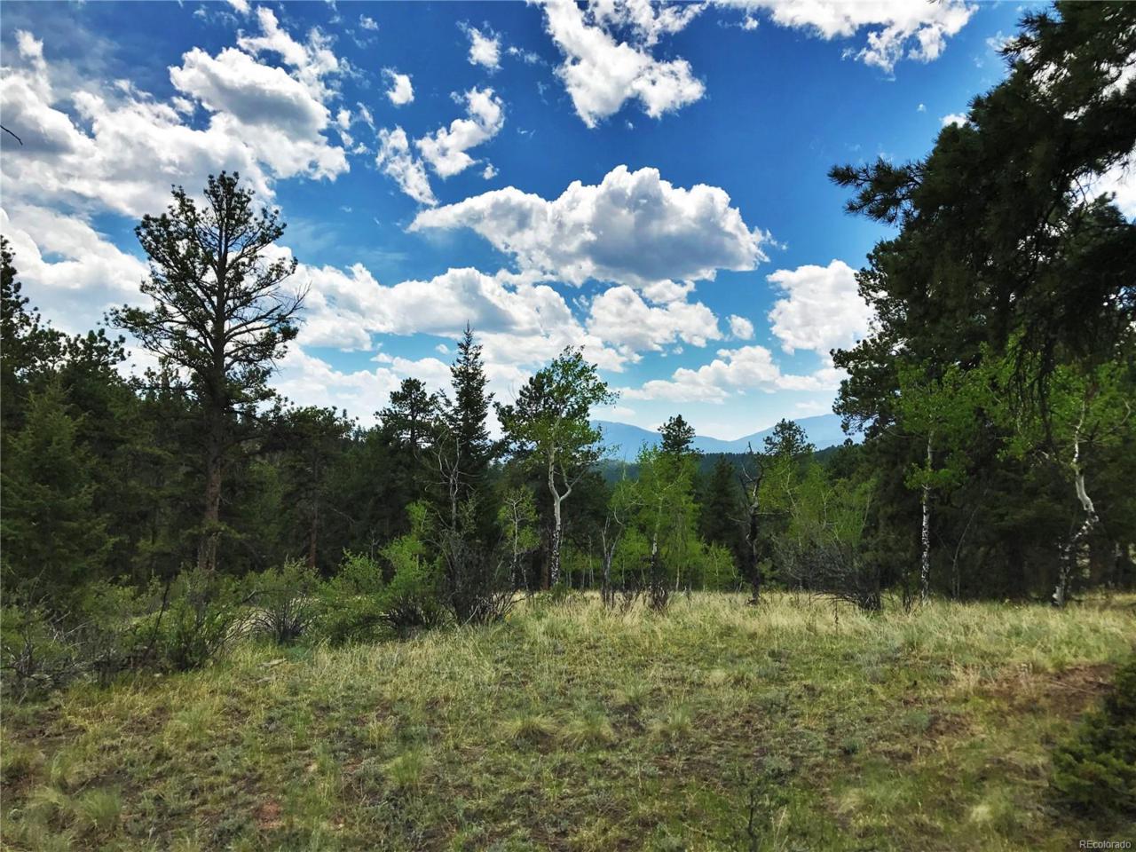 Elk Creek Drive - Photo 1