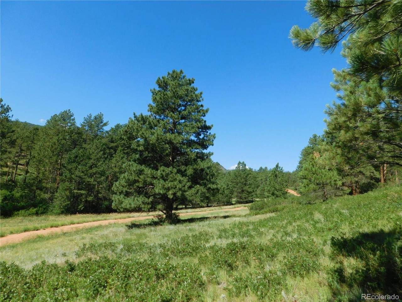 8214 Bannock Drive - Photo 1