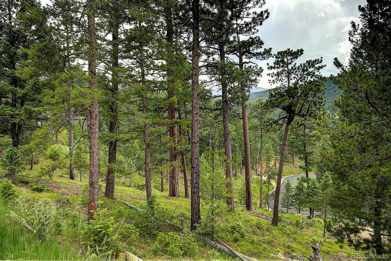 6875 Lynx Lair Road - Photo 1