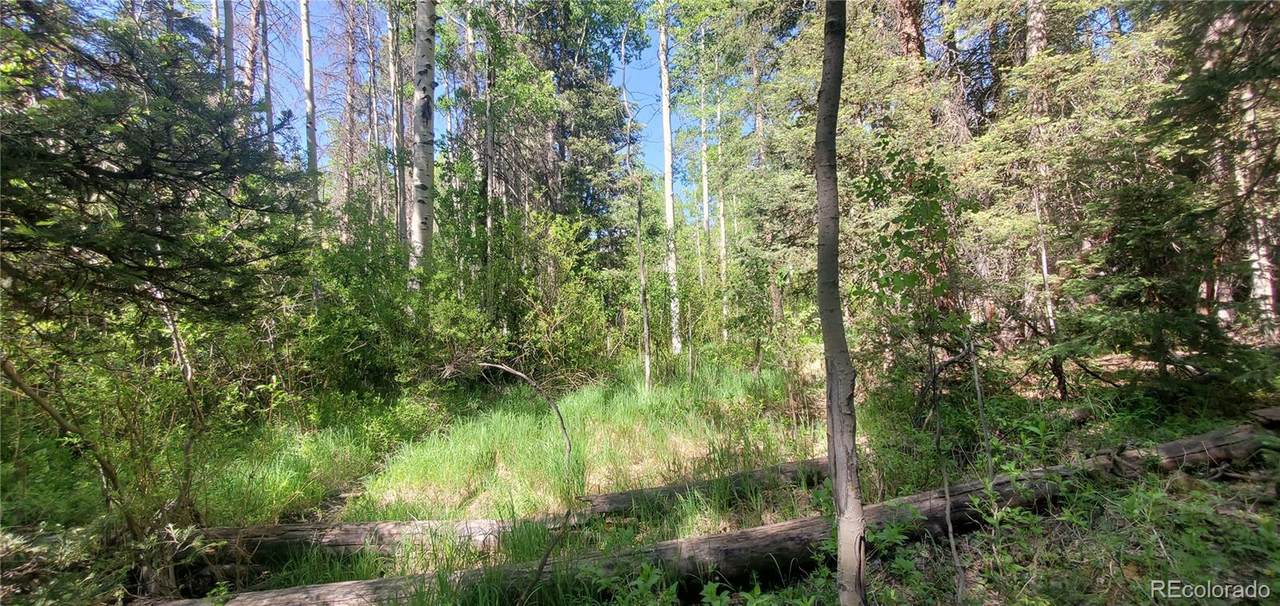 5660 Kawasaki Road - Photo 1