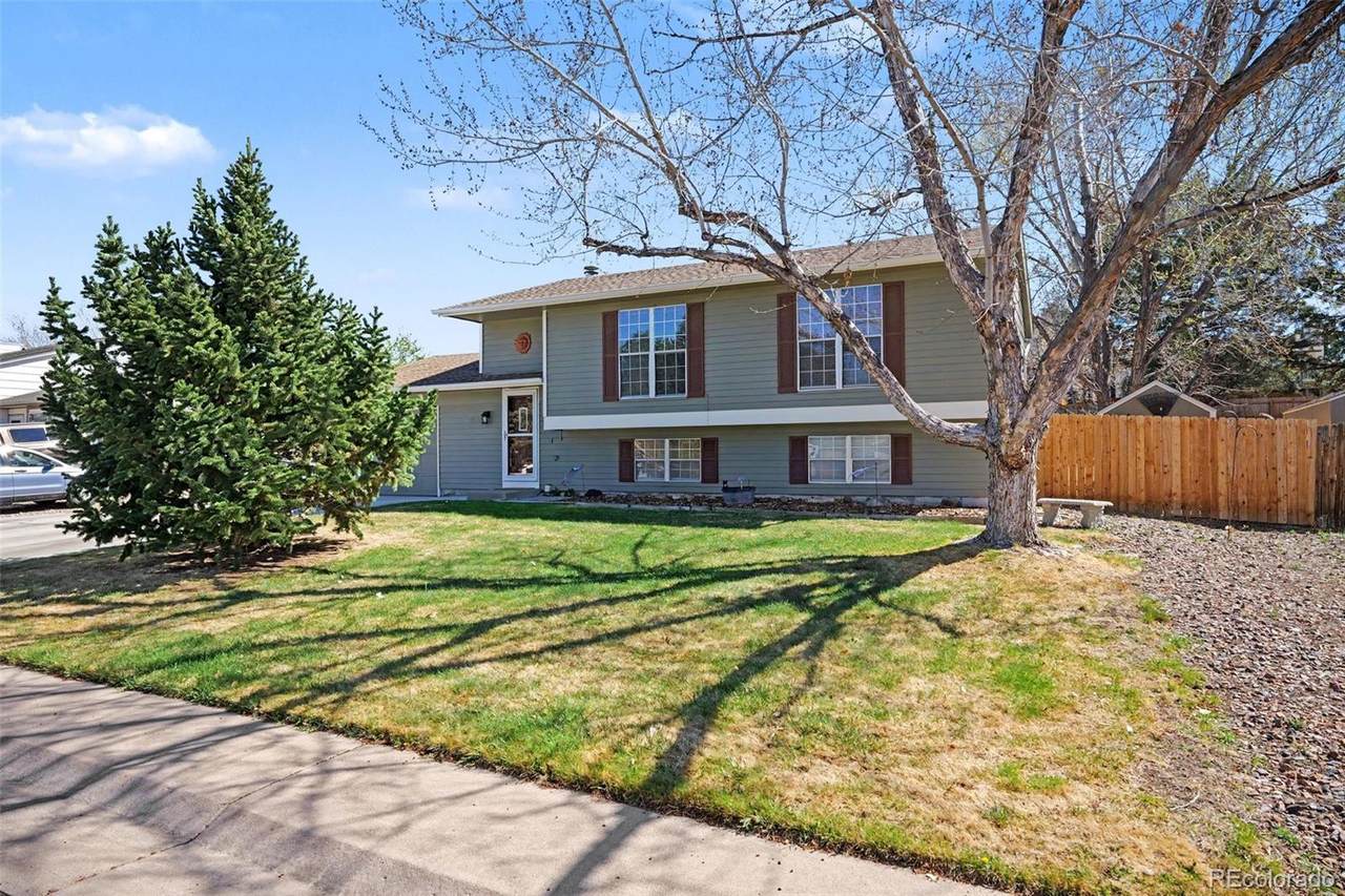 11528 Hot Springs Drive - Photo 1