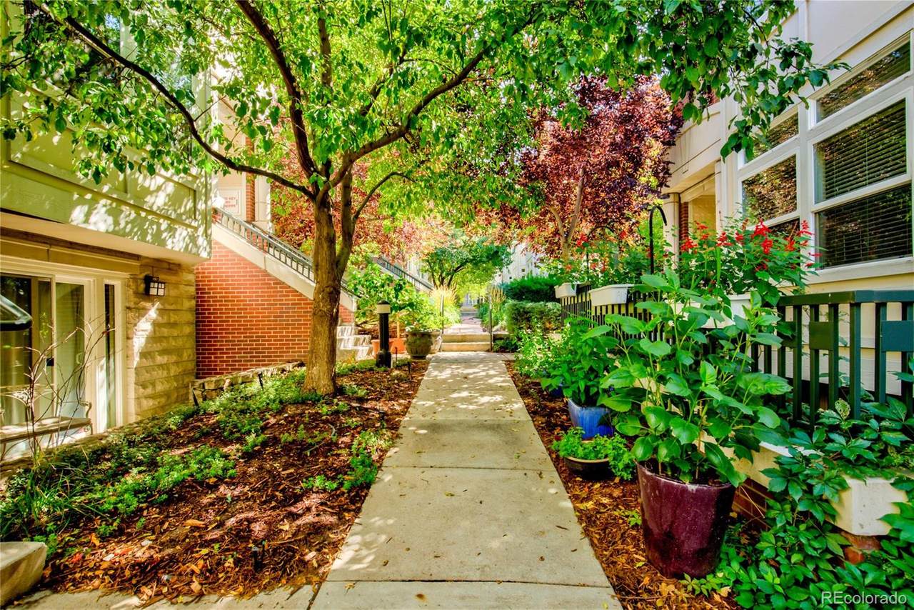 40 Garfield Street - Photo 1