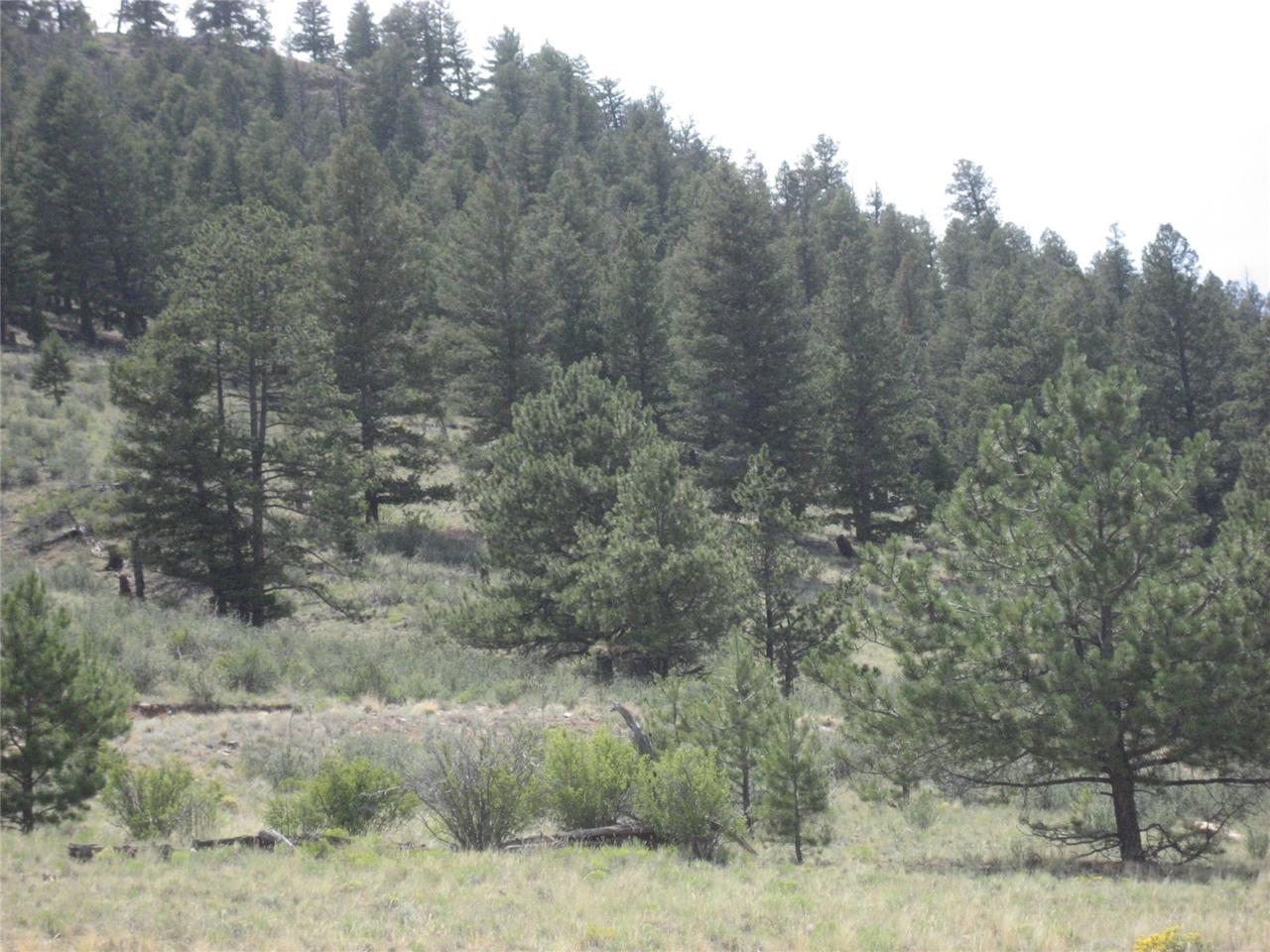 227 Red Cloud - Photo 1