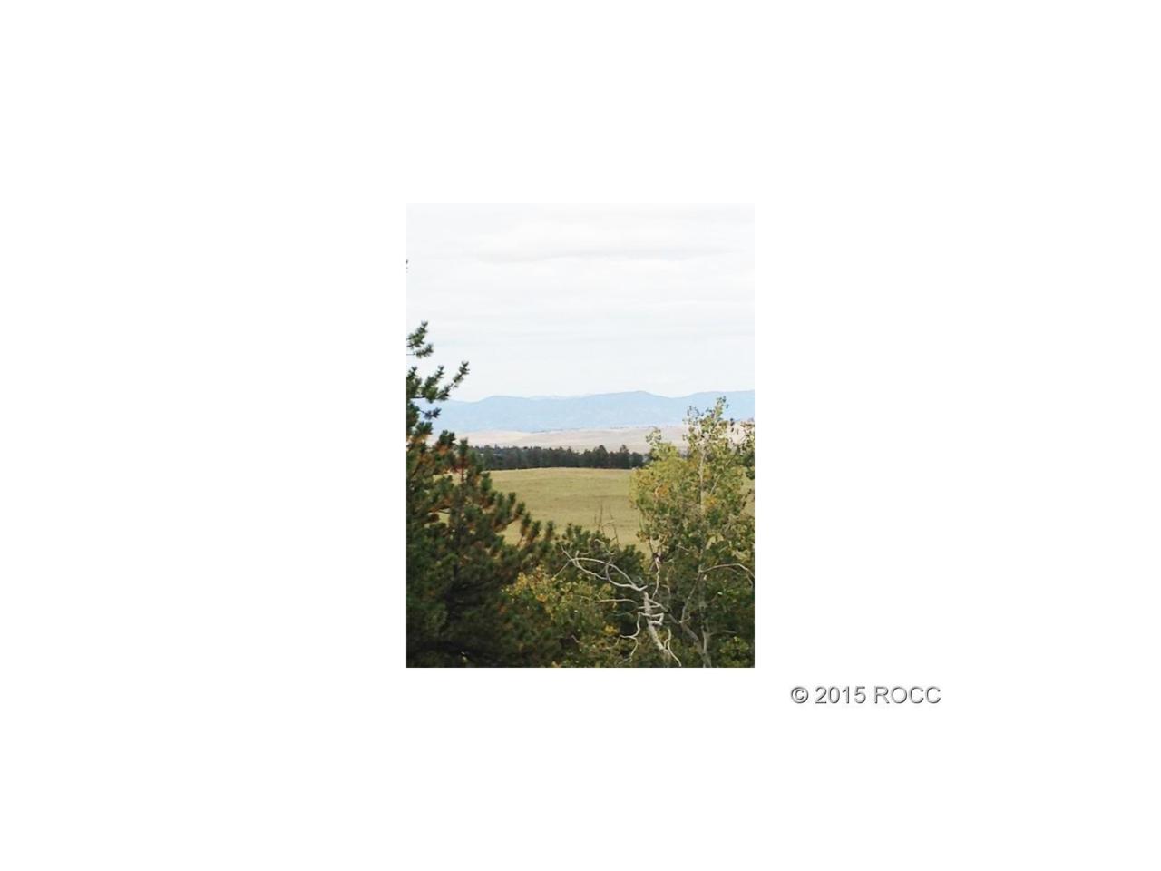 1676 Bellows Road - Photo 1