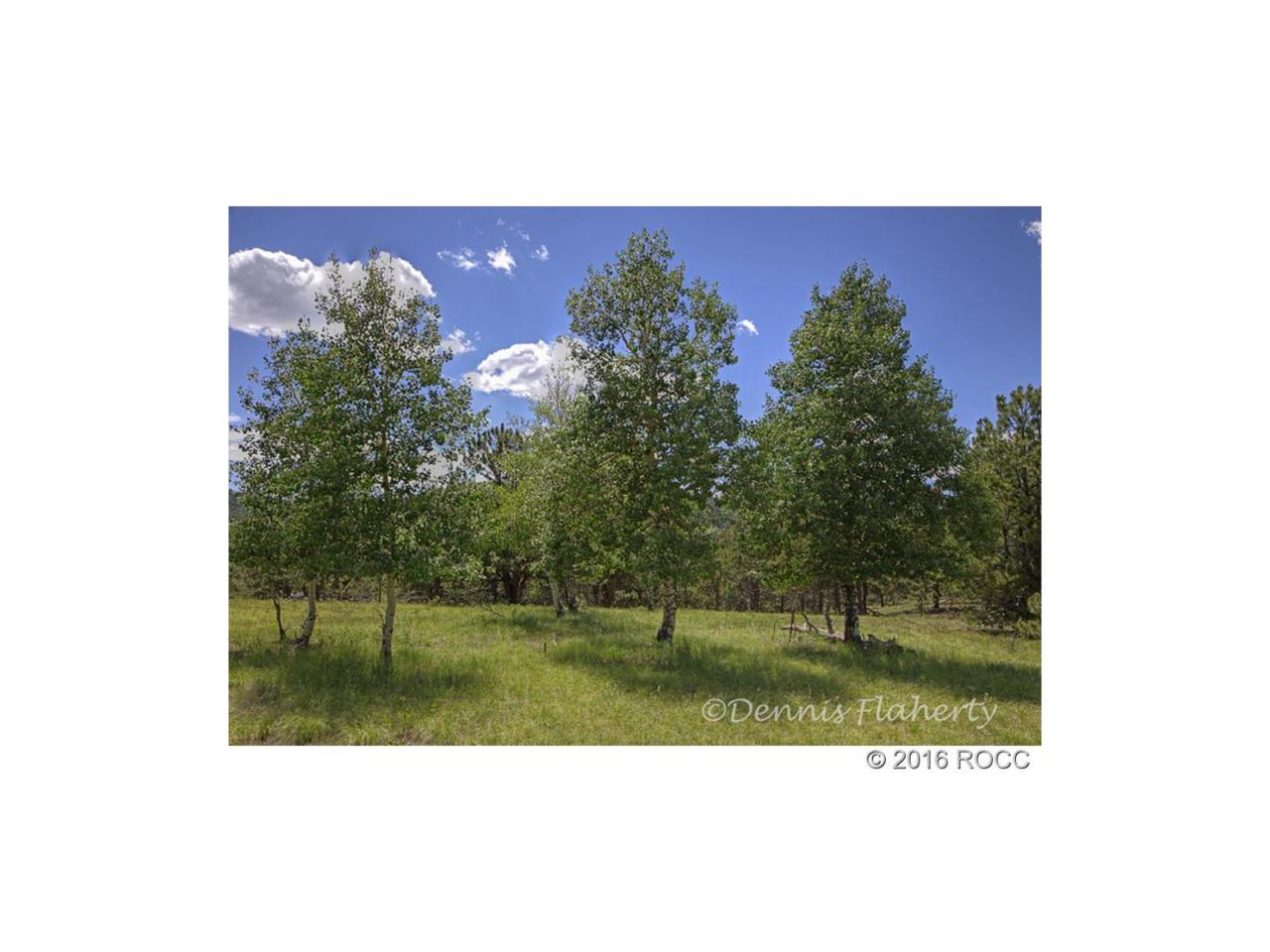 3182 Singletree Road - Photo 1