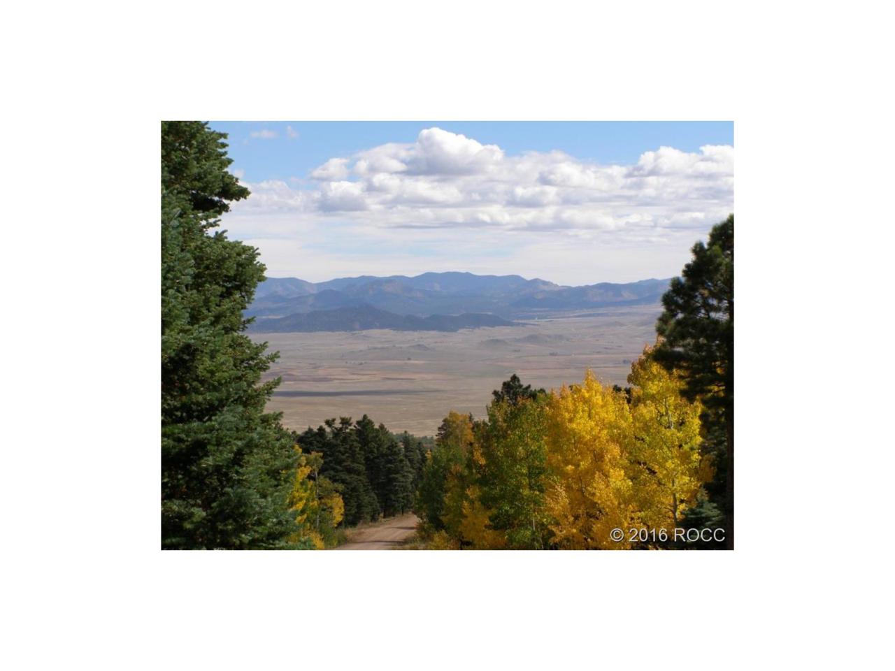 1707 Chalice Drive, Westcliffe, CO 81252 (MLS #C236011) :: 8z Real Estate