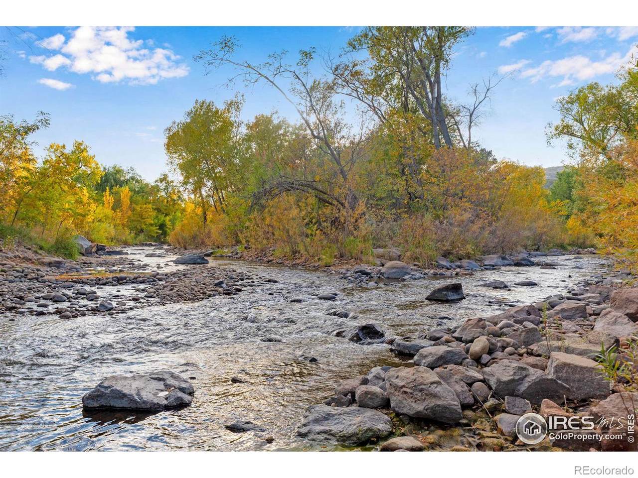 217 Park Street - Photo 1