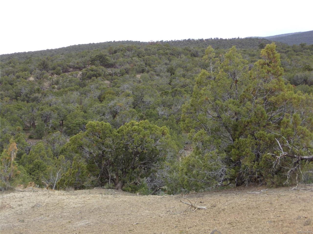 Oak Creek Road - Photo 1