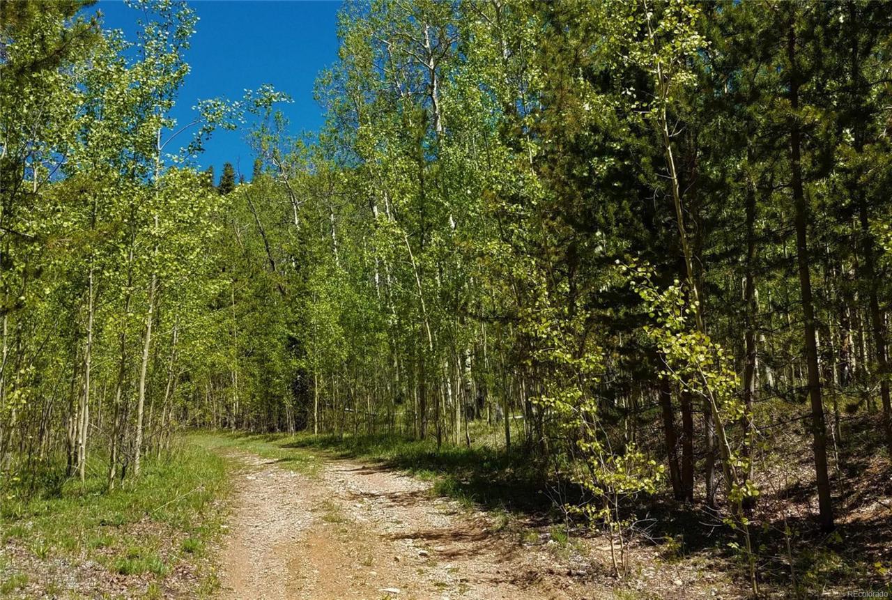 56 Basalt Circle - Photo 1