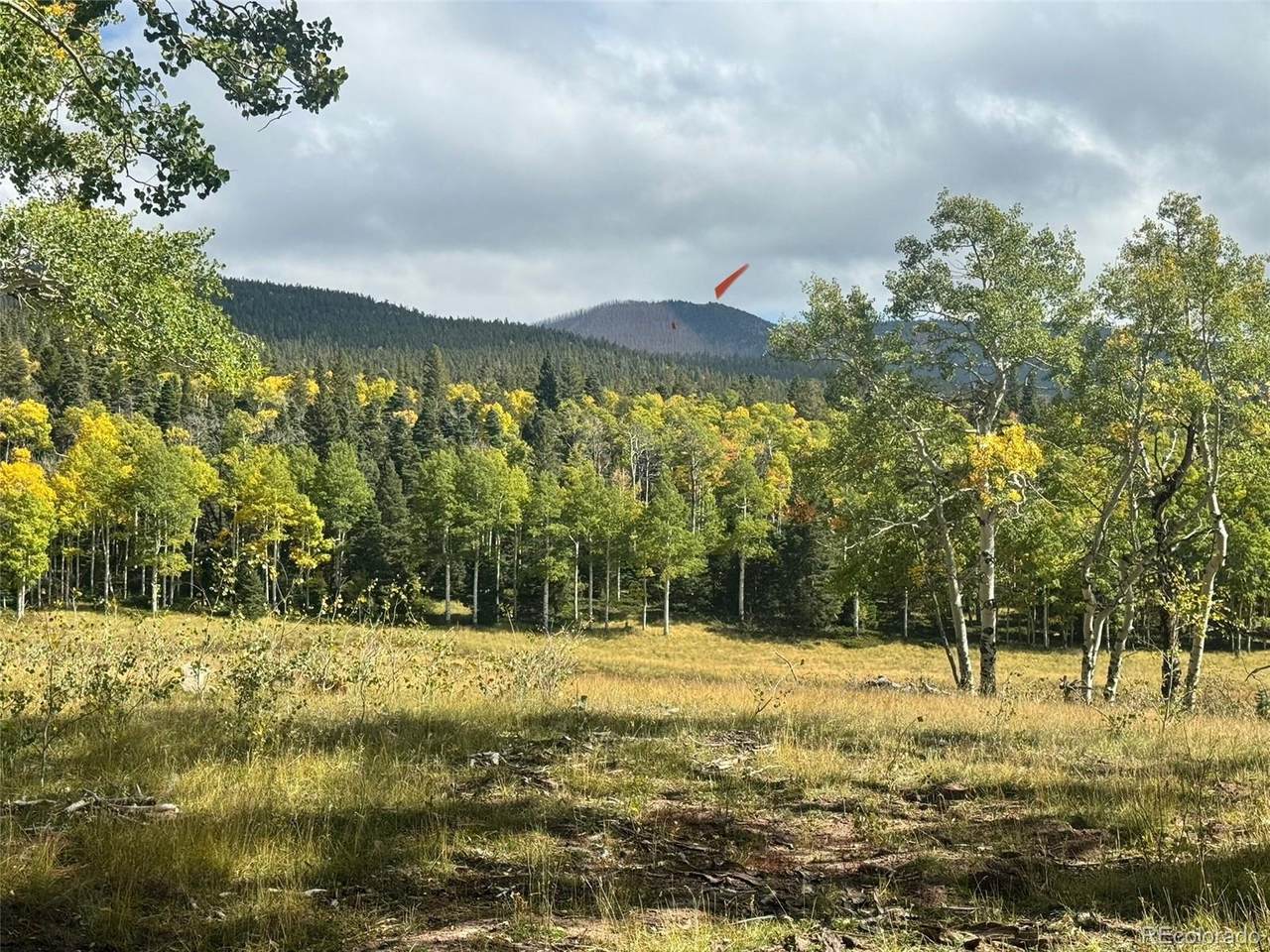 Lot 2843 Wendt Lane - Photo 1