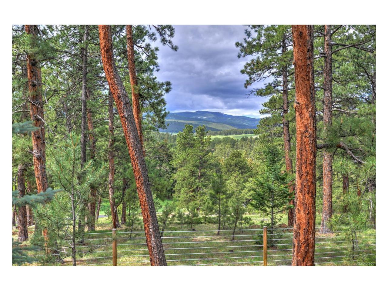 32296 Buffalo Park Road - Photo 1