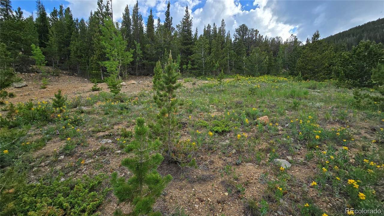 Aspen Rd - Photo 1