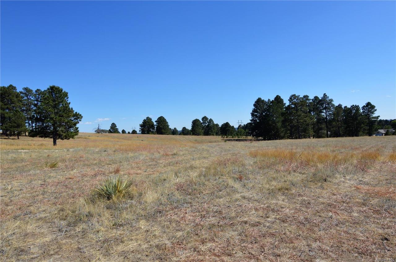 1580 Sage Road - Photo 1
