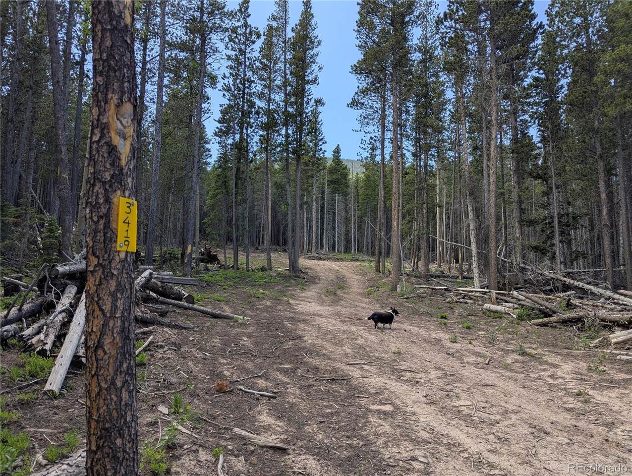 3419 Grojean Drive - Photo 1