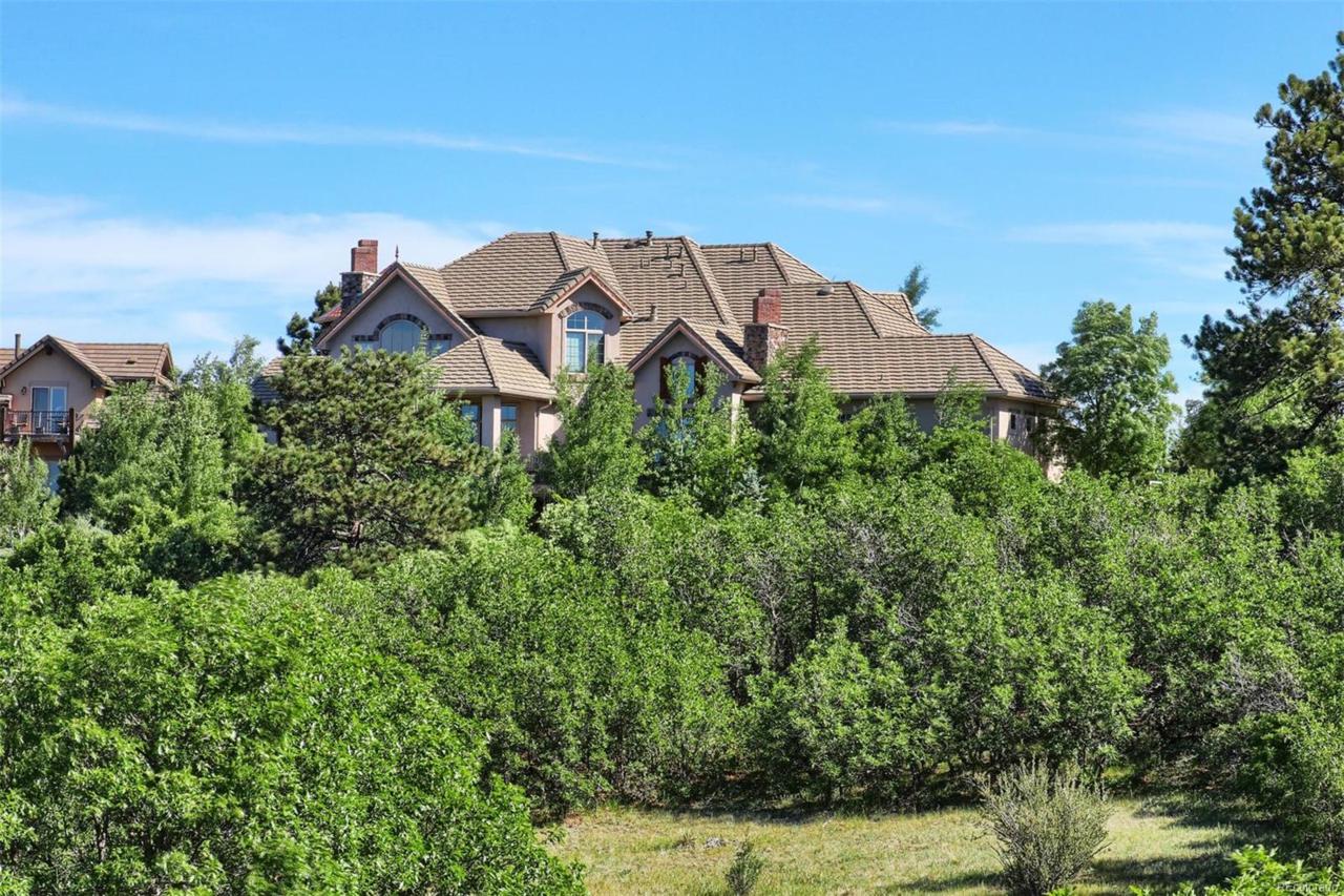 4433 Tierra Alta Drive - Photo 1