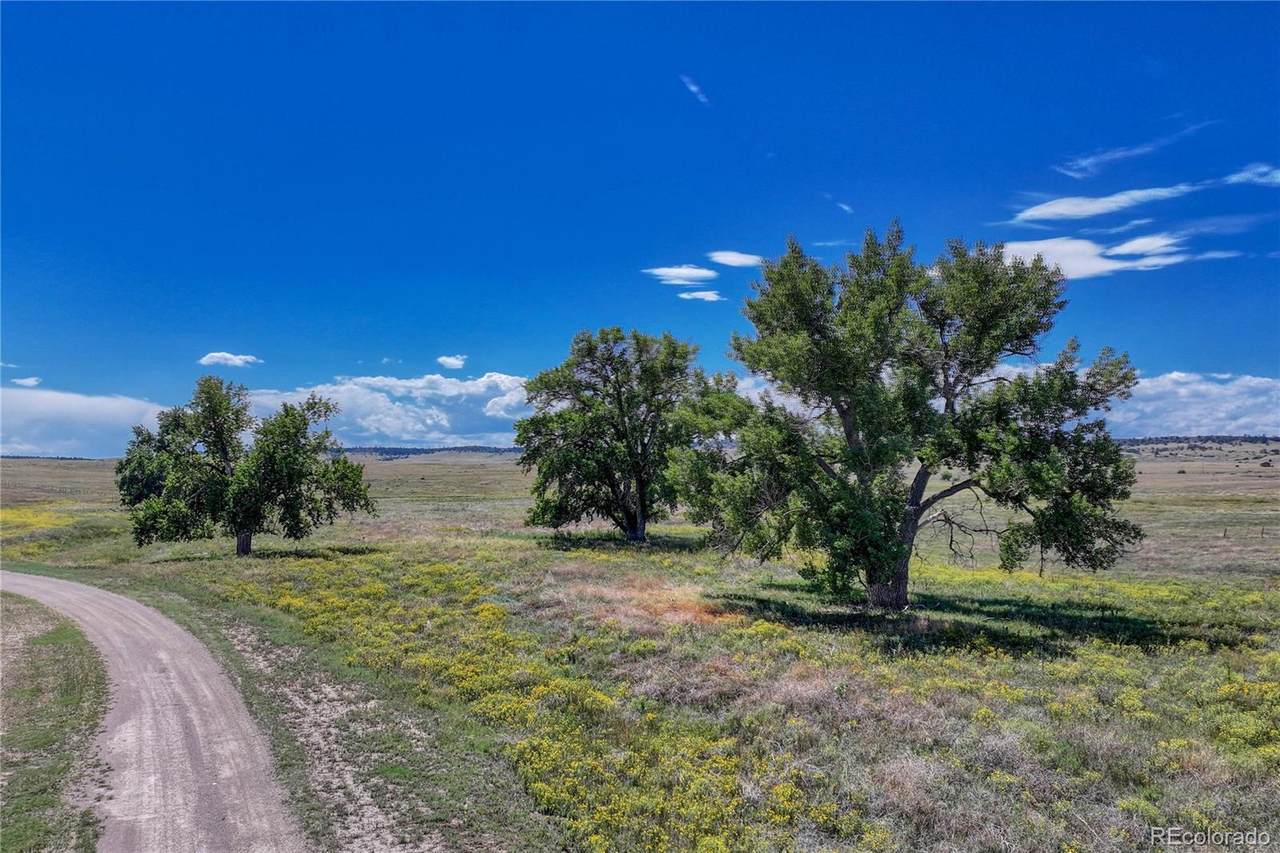 Fiddleback Ranch Road - Photo 1
