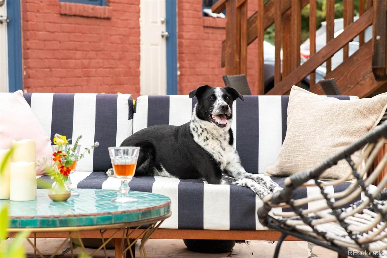 3611 Zuni Street - Photo 1