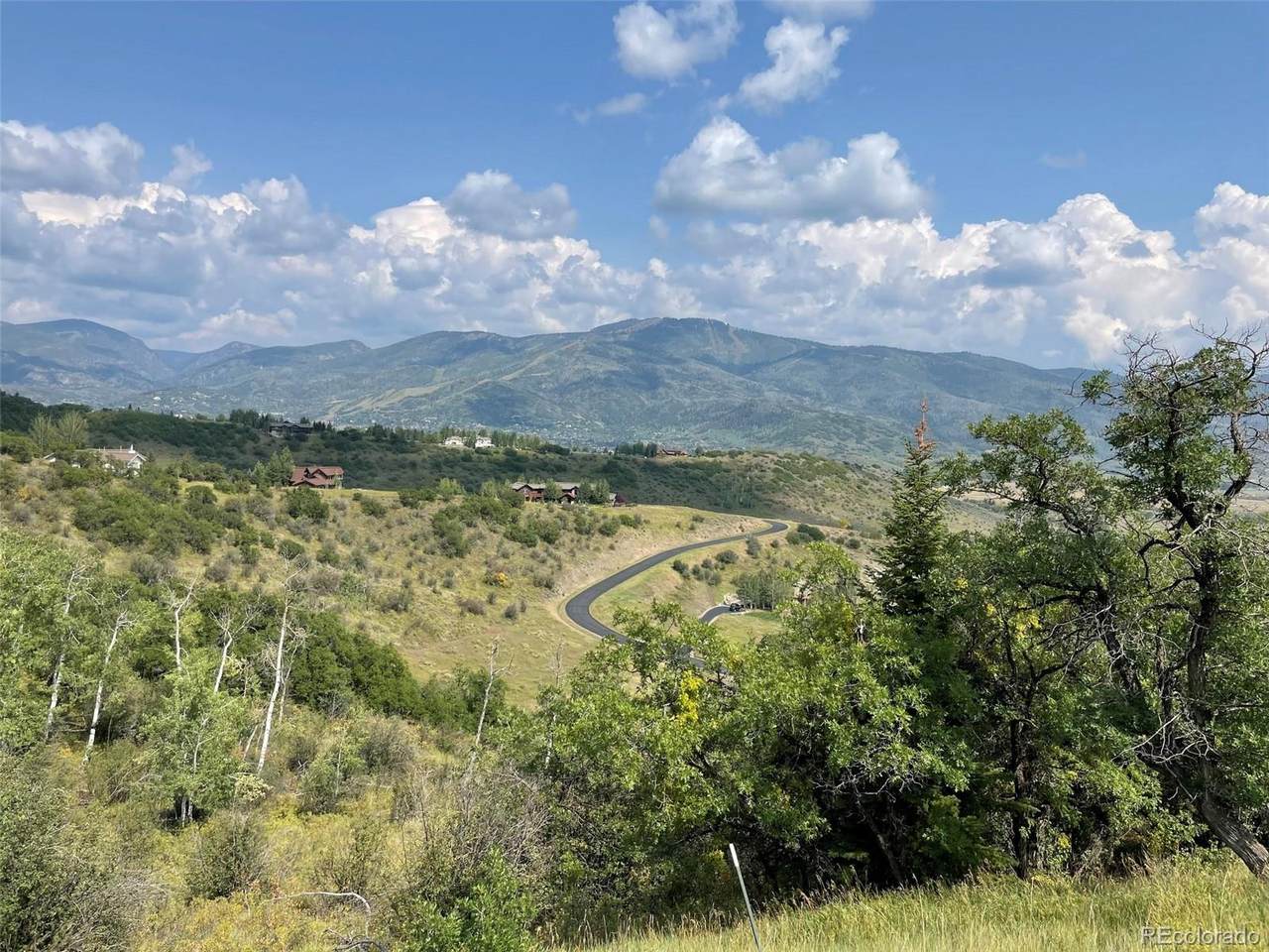 35575 Humble Road - Photo 1
