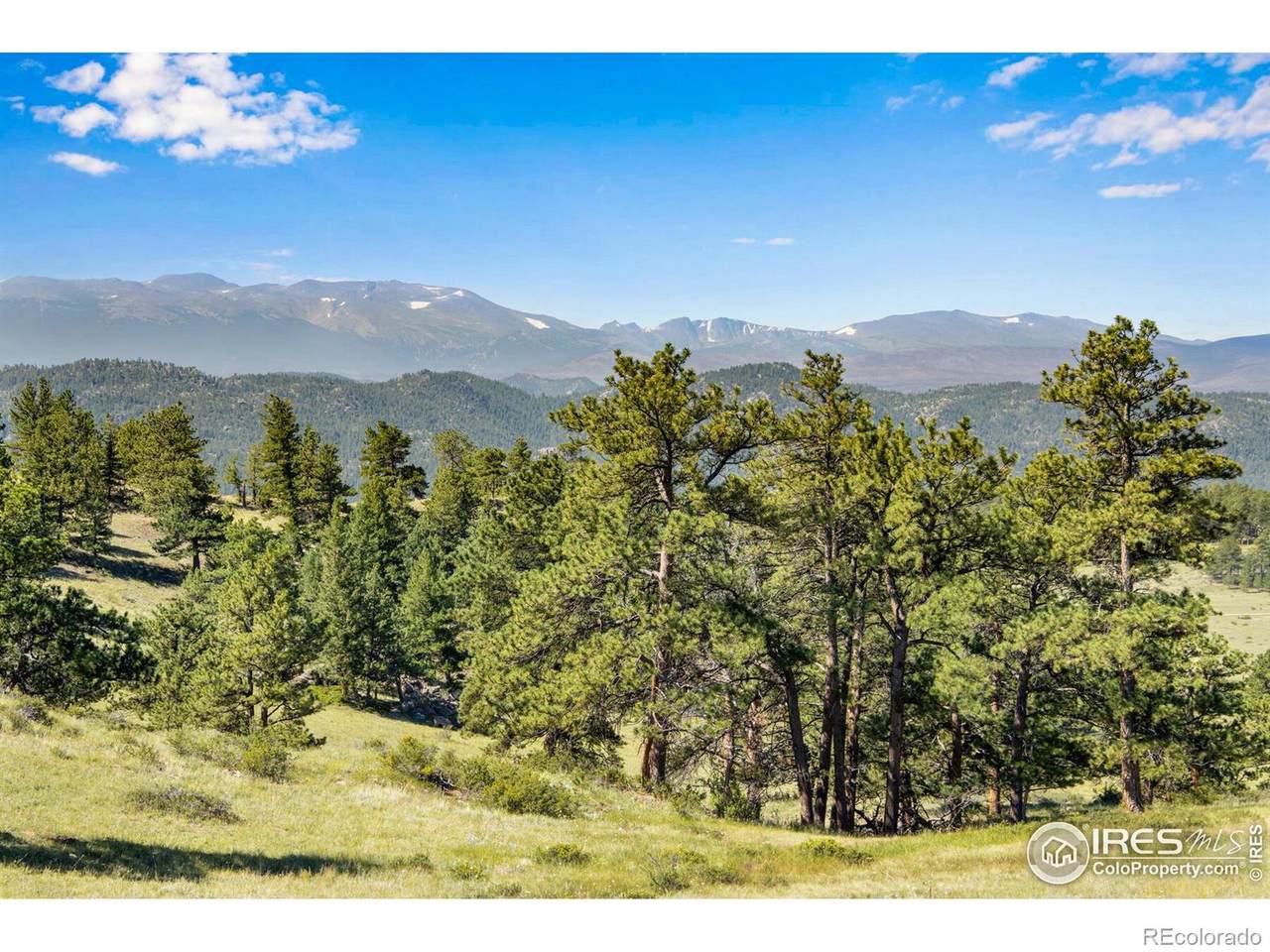0 Red Feather Lakes Road - Photo 1