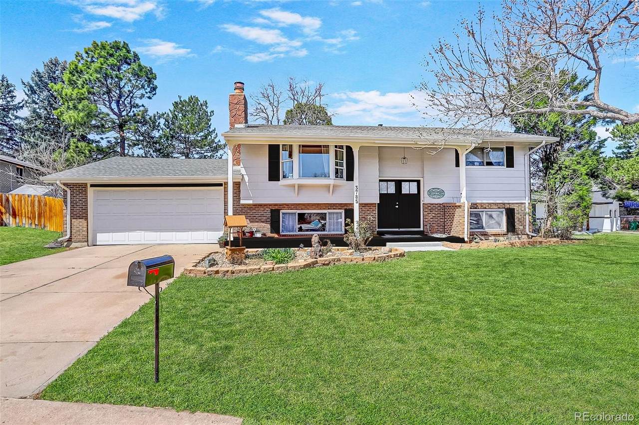 3785 Benton Way - Photo 1