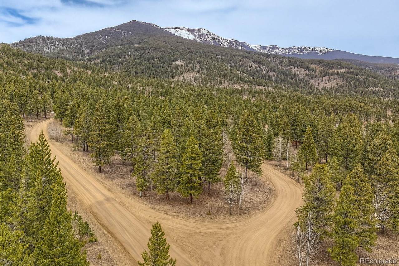 30406 National Forest Drive - Photo 1