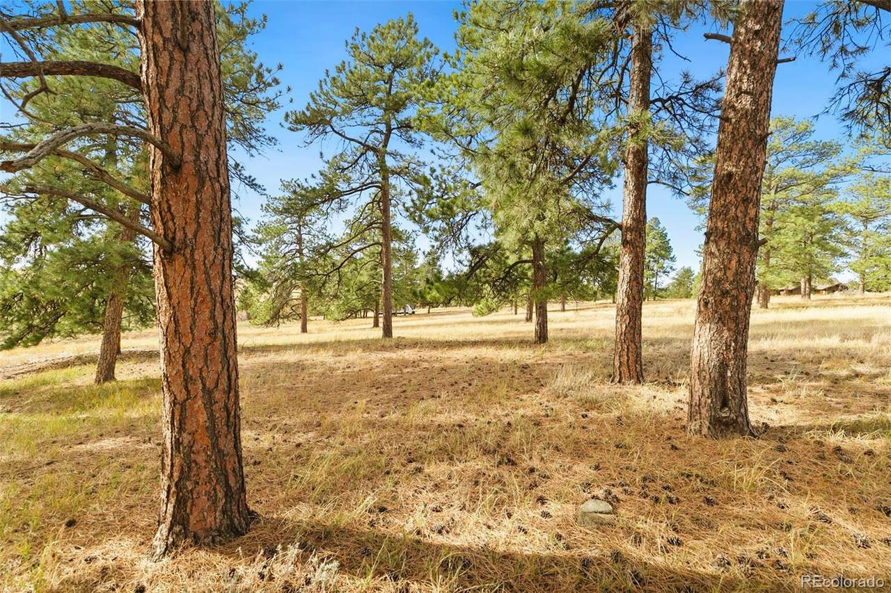 10562 Shadow Pines Road - Photo 1
