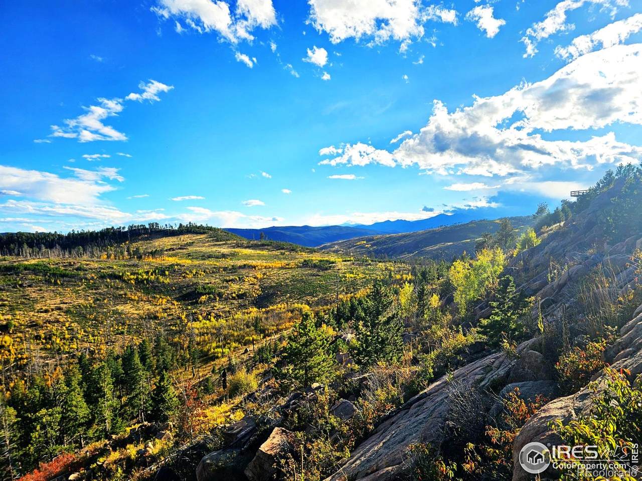 805 Meadows Drive - Photo 1