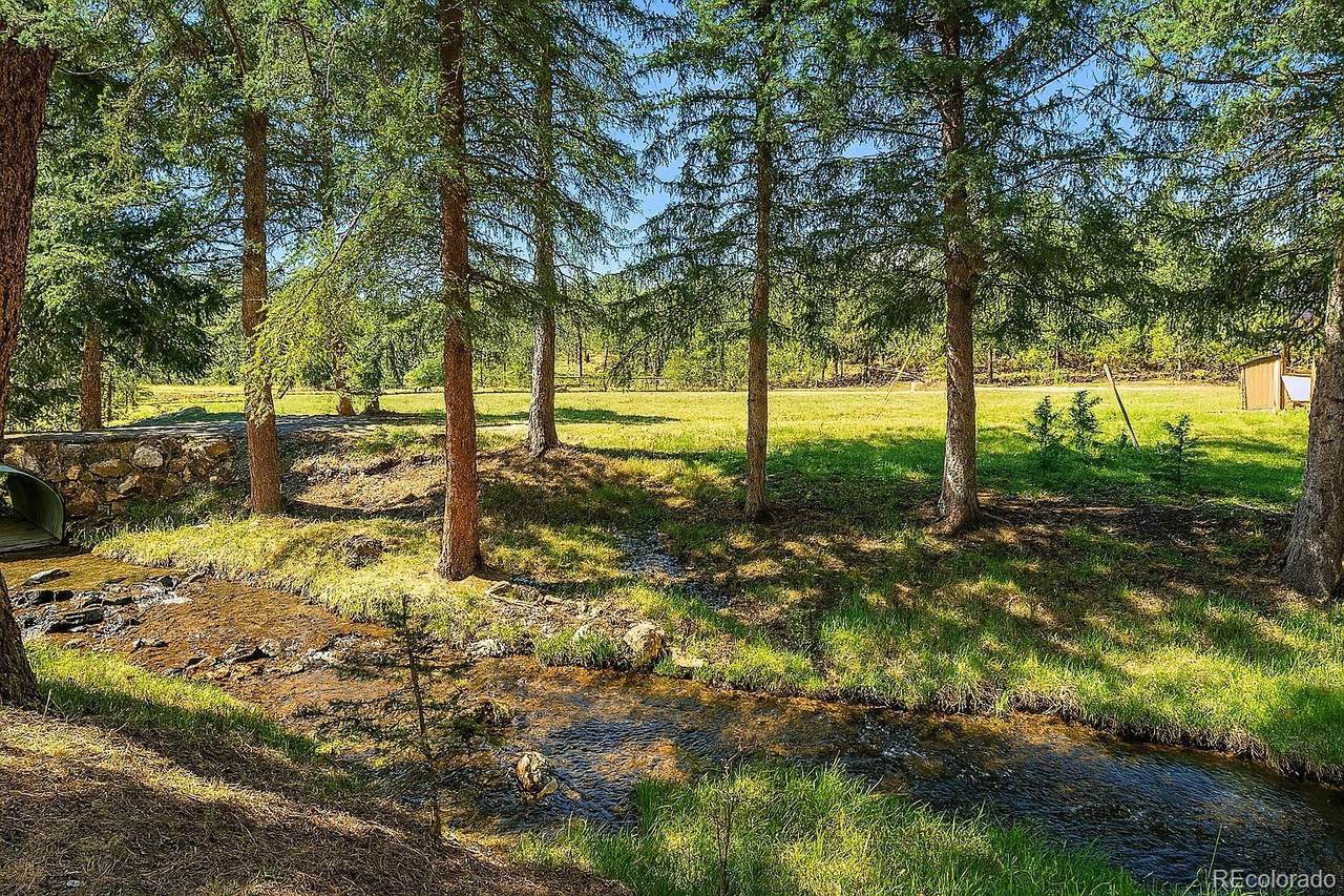 28268 Shadow Mountain Drive - Photo 1