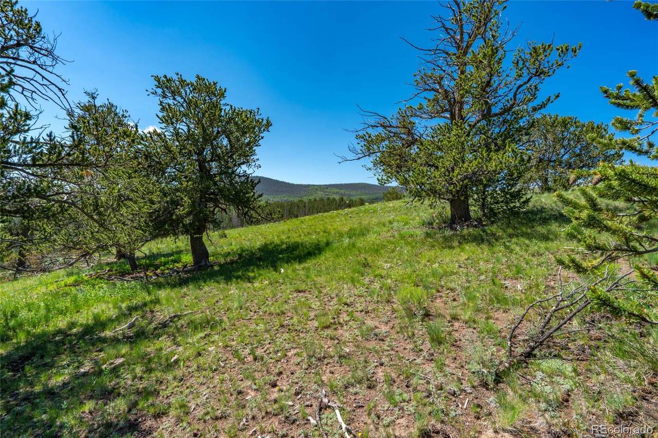 0 Oglala Trail - Photo 1