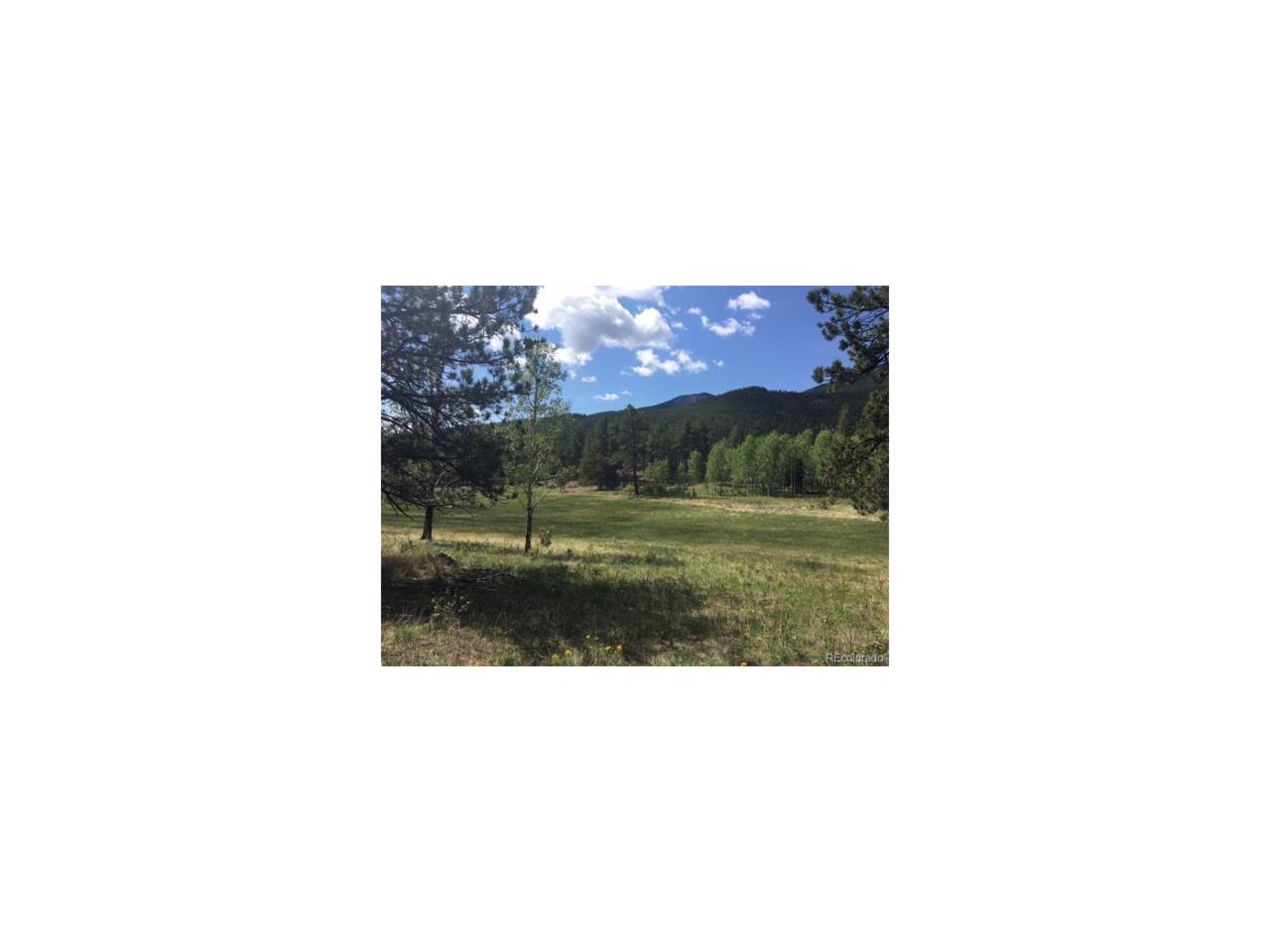 Fs 117A Forest - Photo 1