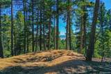 14059 Blue Jay Lane - Photo 14