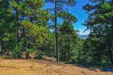 14059 Blue Jay Lane - Photo 29