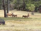24124 Agate Trail - Photo 48