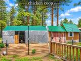 27638 Triple B Road - Photo 44