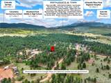 27638 Triple B Road - Photo 48