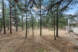 35348 Quick Fox Court - Photo 35