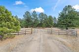 35348 Quick Fox Court - Photo 38