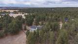 35348 Quick Fox Court - Photo 43