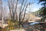 10039 Turkey Creek Road - Photo 21