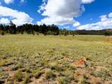 5962 Cherokee Trail - Photo 10