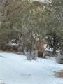3818 Fontaine Road - Photo 41