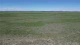 31 Colorado Land & Livestock - Photo 10